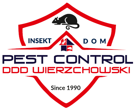 DDDWierzchowski
